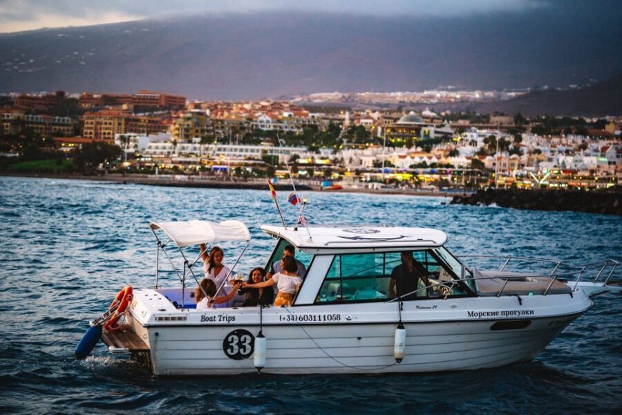 Tenerife: South Island Boat-Trip and Sea Excursion - Getting There Without Stress: Meeting Point and What to Bring