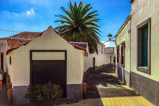 Tenerife South Private Tour: Secrets of the Volcanoes - A CO2-Free Volcano Day That Actually Feels Private