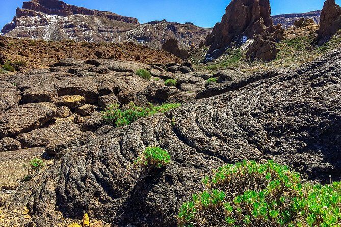 Tenerife South Private Tour: Secrets of the Volcanoes - Stop Three: San Miguel de Abona Viewpoints Over Volcanic Cones