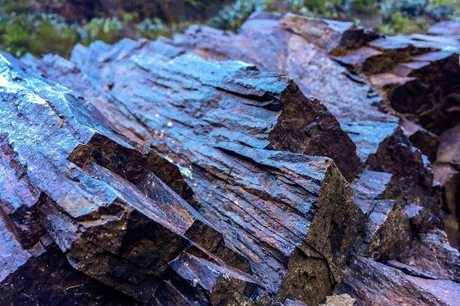 Tenerife South Private Tour: Secrets of the Volcanoes - Guide Factor: When Jaime Muñoz Raises the Quality
