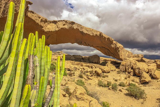Tenerife South Private Tour: Secrets of the Volcanoes - Stop One: Arico and the Arco de Tajao Area