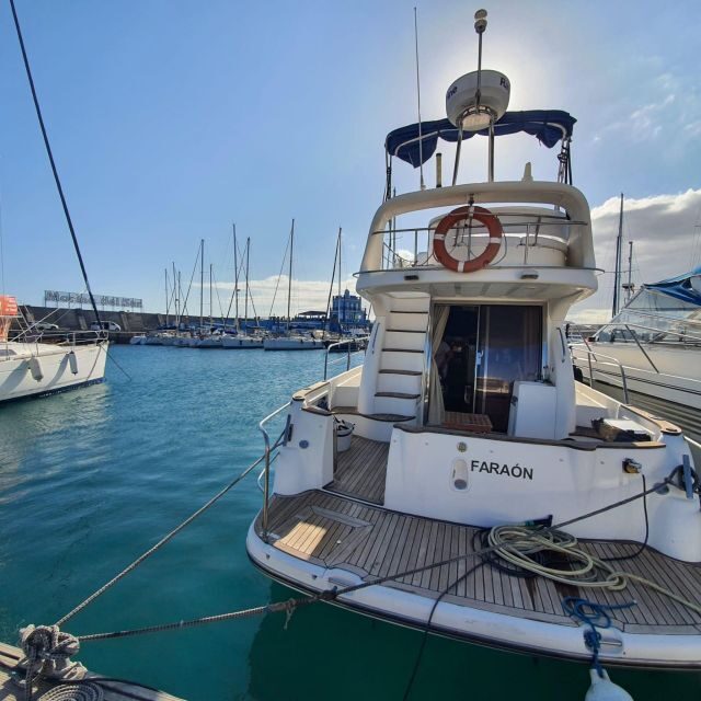 Tenerife south: safari with luxury boat , animals encounters - Key Things That Make This Trip Worth Your Time