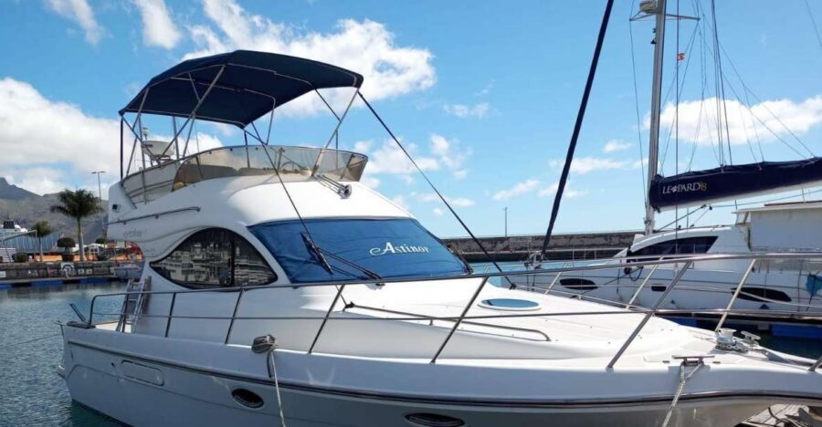 Tenerife south: safari with luxury boat , animals encounters - The South Coast Starts at Las Galletas (So You Spend More Time on the Water)