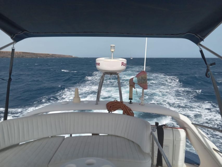 Tenerife south: safari with luxury boat , animals encounters - Midway Swim Stop: The “Exclusive Bay” Break (With Drinks and a Snack)