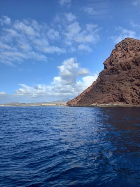 Tenerife south: safari with luxury boat , animals encounters - Who This Trip Suits Best (And Who Might Want Something Different)