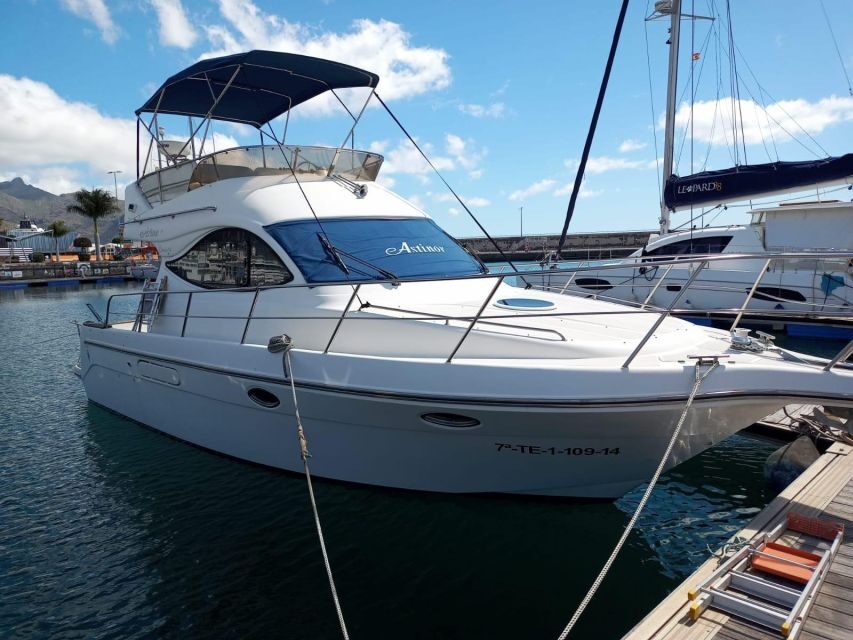 Tenerife south: safari with luxury boat , animals encounters - Inside the Two-Story Luxury Boat: Where You’ll Actually Want to Sit