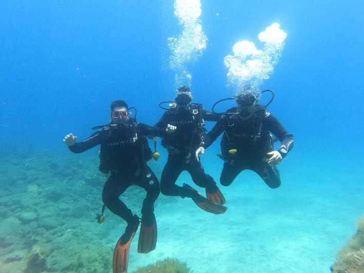 Tenerife south: Scuba Dive for beginners in Adeje - Where it starts in Adeje: Hotel GF Isabel and a calm, simple morning