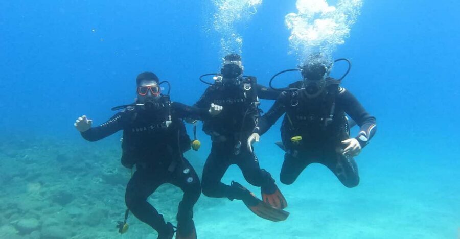 Tenerife south: Scuba Dive for beginners in Adeje - The short theory session that helps you get your bearings fast