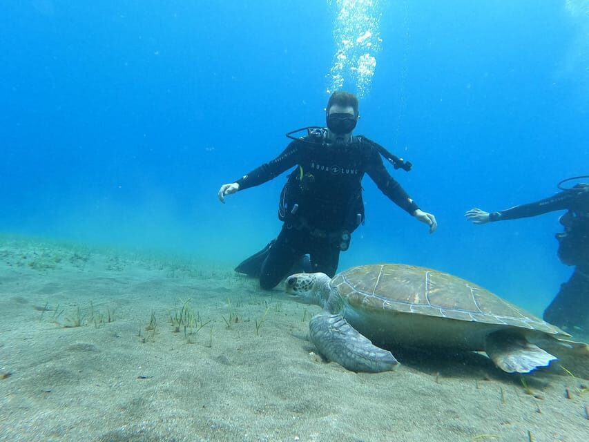 Tenerife south: Scuba Dive for beginners in Adeje - Gear and transport: what’s included and why it matters