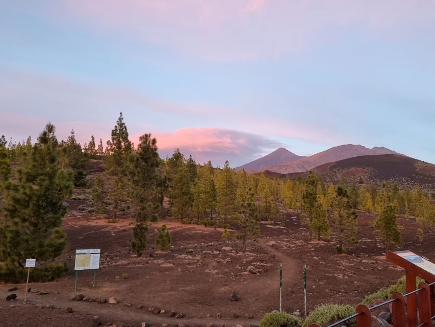 Tenerife: Sunset and Stargazing at Teide National Park - Weather Changes the Plan, But the Night Isn’t Lost