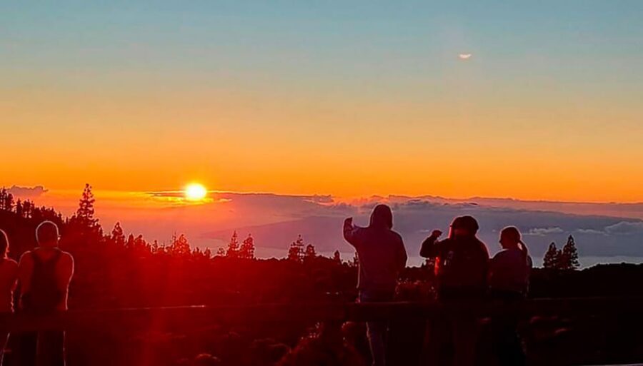 Tenerife: Sunset Night Tour and Stargazing at Teide + Dinner - Dinner timing in summer vs winter (and why it changes your plans)