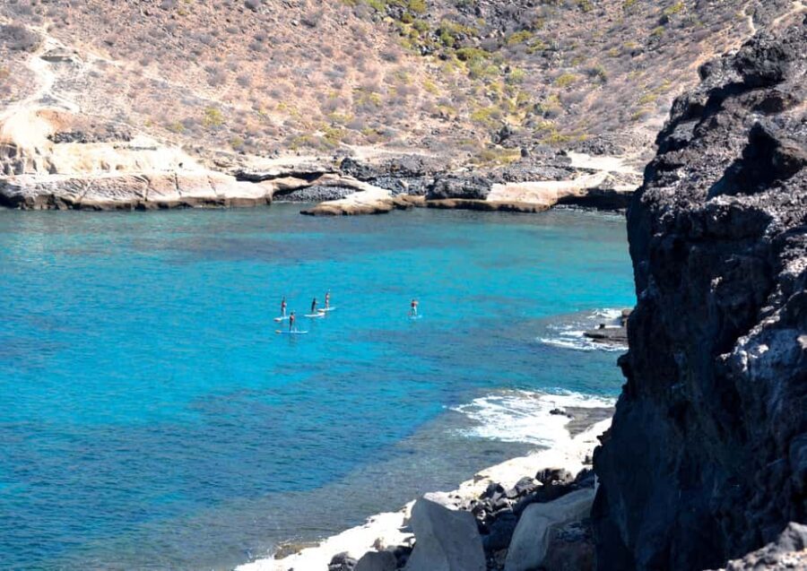TENERIFE SUR: Paddleboarding tour and SNORKEL - La Caleta de Adeje: why this quiet stretch works for SUP