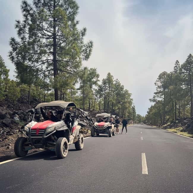 Tenerife: Teide National Park and Volcano Buggy Tour - The Rules: 21+ License for the Main Driver
