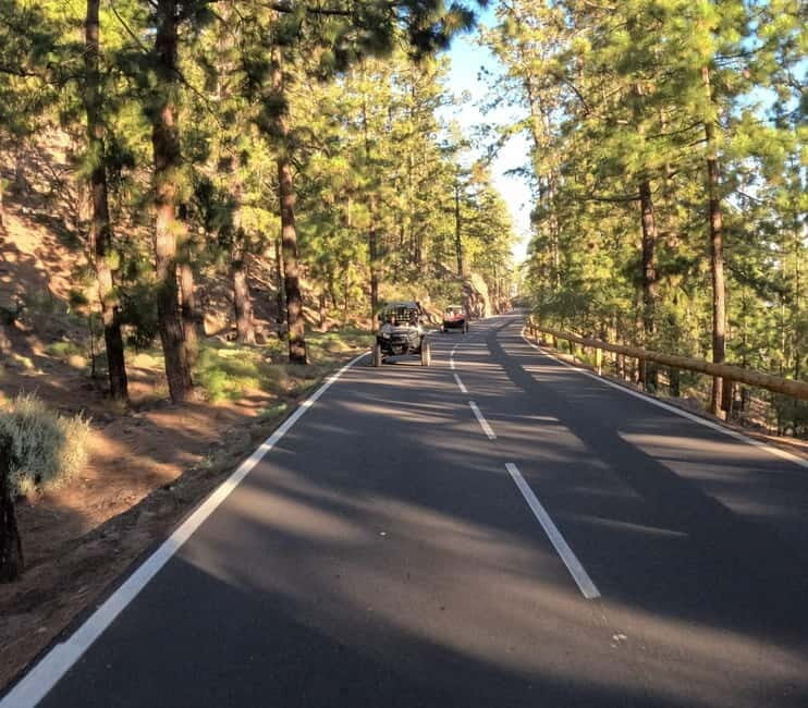 Tenerife: Teide National Park and Volcano Buggy Tour - The Terrain Shift: From Pine Roads to Teide-Style Volcanic Views