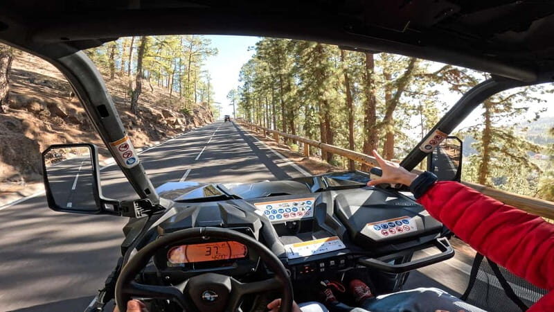 Tenerife: Teide National Park Guided Buggy Tour - Teide in a buggy: why this feels different than a bus tour