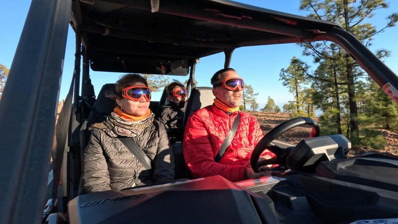 Tenerife: Teide National Park Guided Buggy Tour - Teide National Park free time: how to use it well