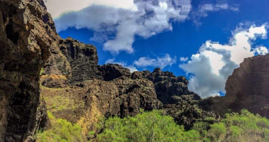Tenerife: Teide National Park & Teno Rural Park Private Tour - Early viewpoint stops: getting your bearings fast