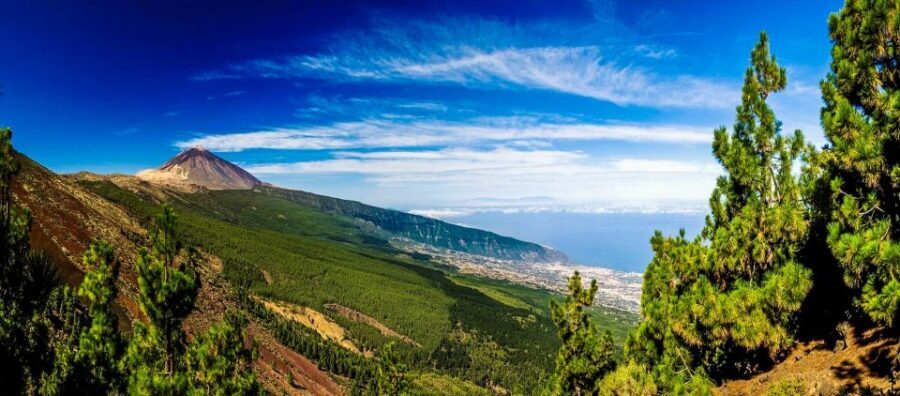 Tenerife: Teide National Park & Teno Rural Park Private Tour - Lunch and free time: restaurant break or picnic