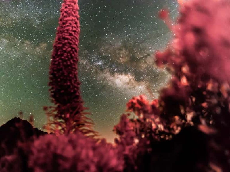 Tenerife: Teide Stargazing with an Astrophysicist - What you might see: planets, stars, and deep-sky objects