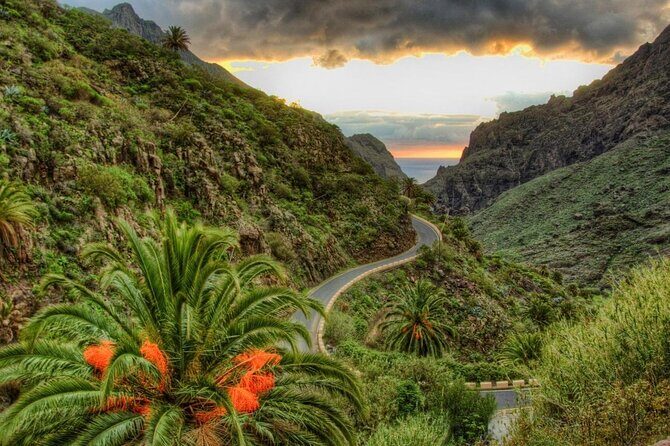 Tenerife Tour Mt. Teide and the Towns of Icod, Garachico, Masca - Key takeaways before you go