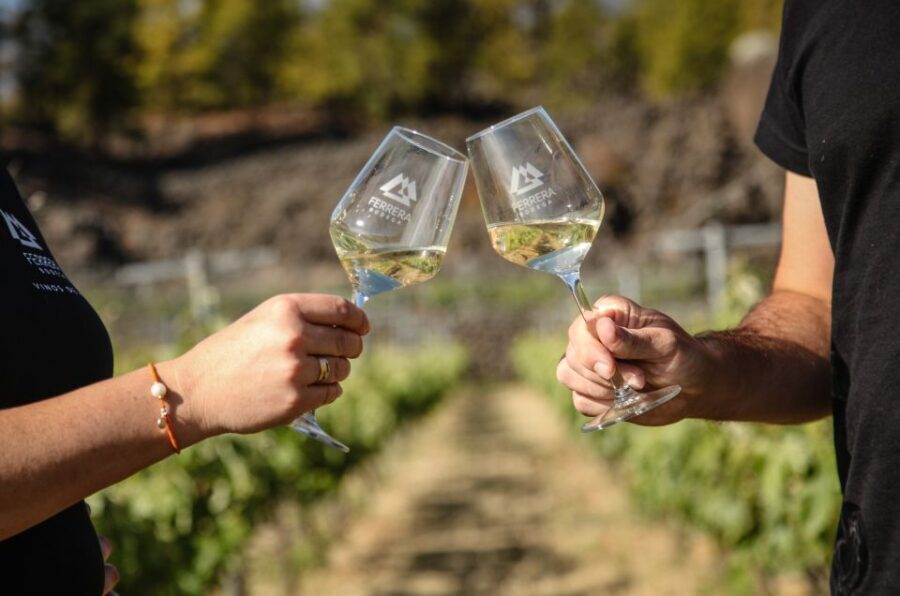 Tenerife: Tour of an Organic Vineyard with Tasting & Snacks - Who Should Book This Vineyard Tour (and Who Might Skip It)