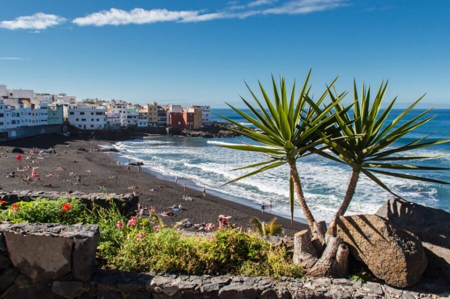 Tenerife: Trip to Puerto de la Cruz - Plaza del Charco: The Heart of the Walk