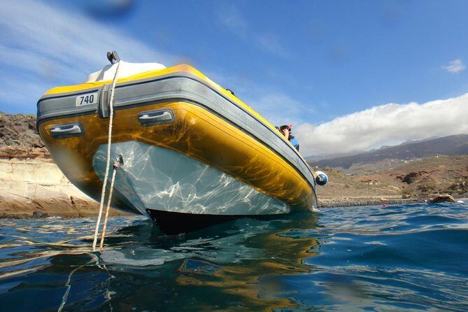 Tenerife Turtle and Snorkel Tour from Costa Adeje - Common Snags to Know About (So You Don’t Get Caught Off Guard)