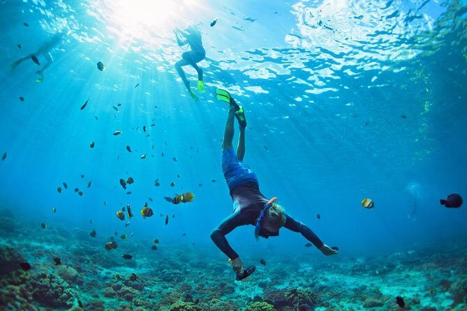 Tenerife Turtle and Snorkel Tour from Costa Adeje - The Boat Trip Setup: Gear, Safety Talks, and Sea Conditions