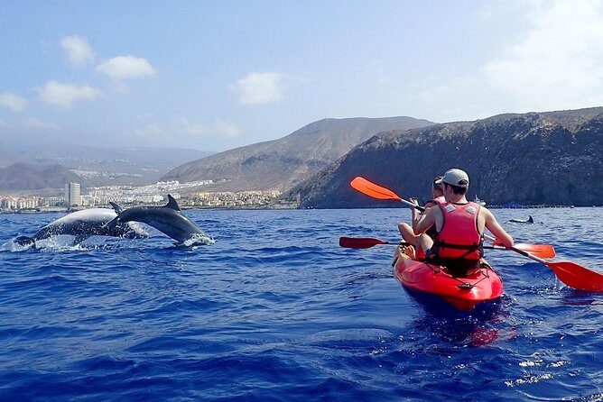 Tenerife: Turtle & Dolphin Kayak Tour with Snorkel & Wetsuit - Where you meet and how the tour starts in Los Cristianos