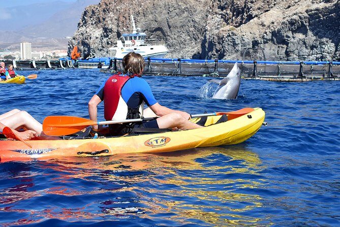 Tenerife: Turtle & Dolphin Kayak Tour with Snorkel & Wetsuit - The mid-tour snorkeling break: what’s included and how it feels