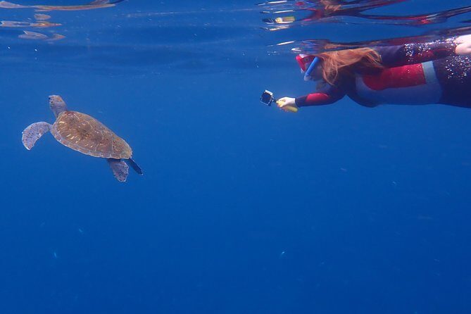 Tenerife: Turtle & Dolphin Kayak Tour with Snorkel & Wetsuit - On the water return: coastline panoramas and Mount Teide in the distance