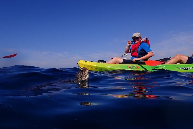 Tenerife: Turtle & Dolphin Kayak Tour with Snorkel & Wetsuit - How hard is it really? Fitness, waves, and the swim requirement