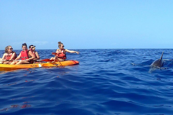 Tenerife: Turtle & Dolphin Kayak Tour with Snorkel & Wetsuit - Gear included: why this tour is easier than DIY snorkeling