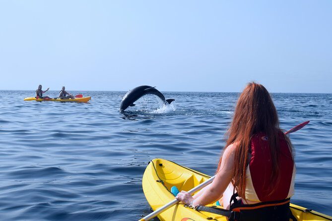 Tenerife: Turtle & Dolphin Kayak Tour with Snorkel & Wetsuit - Price and value: why $42.33 can feel like a deal