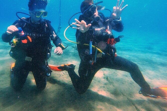 Tenerife Under The Sea - dive into 1-1 personalised experience - Marine life you can actually look for in Tenerife