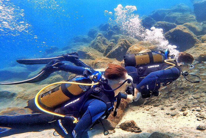 Tenerife Under The Sea - dive into 1-1 personalised experience - Price and value: is $65 a good deal?