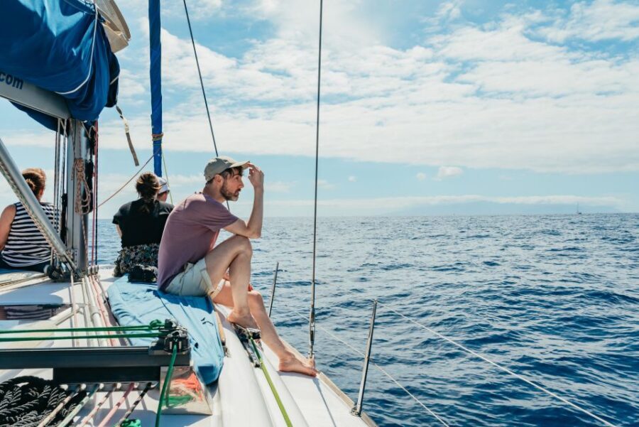 Tenerife: Whale & Dolphin Watching with Drinks and Snacks - Who This Cruise Fits Best