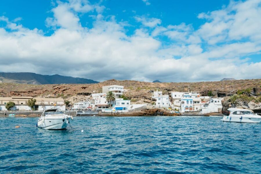 Tenerife: Whale & Dolphin Watching with Drinks and Snacks - Whale and Dolphin Watching in a Conservation Area