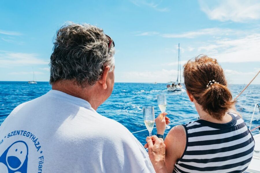 Tenerife: Whale & Dolphin Watching with Drinks and Snacks - Timing and the Real Itinerary Flow: 20 Minutes In, Then 3 Hours on the Water