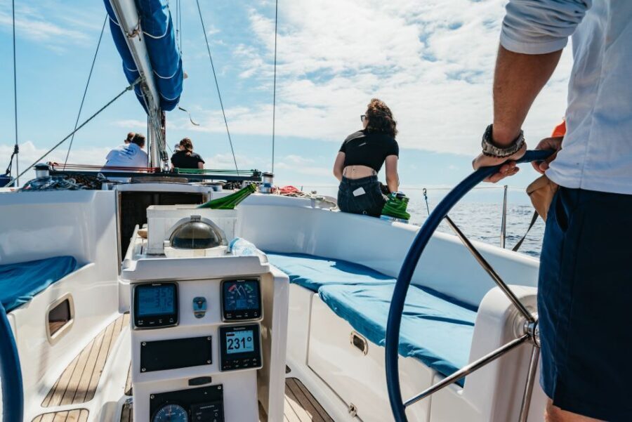 Tenerife: Whale & Dolphin Watching with Drinks and Snacks - Safety, Seasickness, and Why the Captain Matters