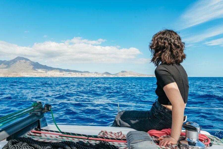 Tenerife: Whale & Dolphin Watching with Drinks and Snacks - Price and Value: What $77 Buys in Tenerife