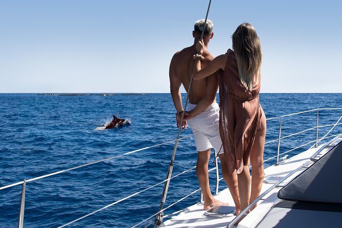 Tenerife Whale watching on private charter - Meet the Abrazo catamaran: comfort matters when you are out for hours