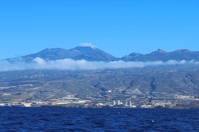 Tenerife Whales and Dolphins Watching Experience in Catamaran - The catamaran format: why this beats DIY boating on Tenerife