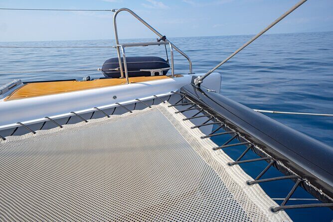 Tenerife Whales and Dolphins Watching Experience in Catamaran - Onboard catering: what’s included and why it matters