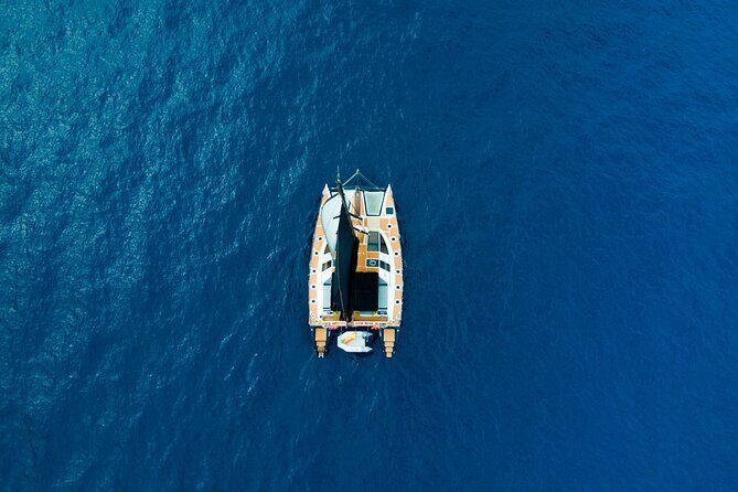Tenerife Whales and Dolphins Watching Experience in Catamaran - Small group size and how it changes your viewing experience