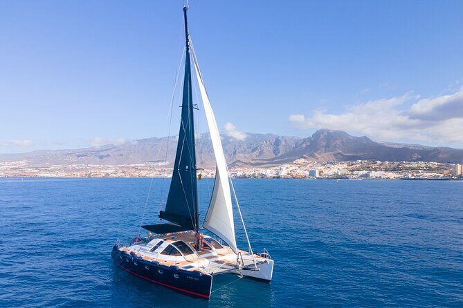 Tenerife Whales and Dolphins Watching Experience in Catamaran - Price and value: does $68.98 make sense here?