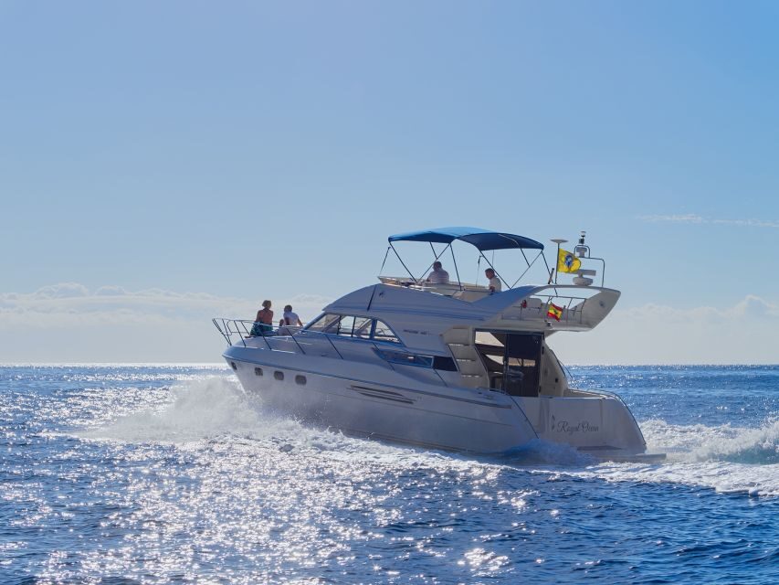 Tenerife: Whales and Snorkeling Tour on a Luxury Yacht - Las Galletas start: refreshments and the safety briefing