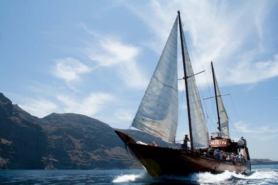Tenerife:Respectful Whale Watching, Pirate Ship, & Swim - Who This Tour Suits Best (and Who Should Rethink It)