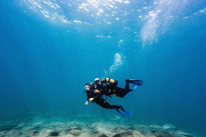 Try Dive in Tenerife - Key highlights to look for