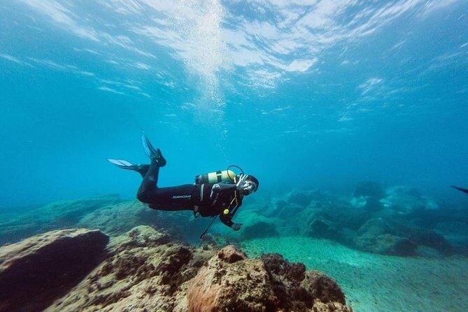 Try Dive in Tenerife - What you’ll get besides the moment: photos